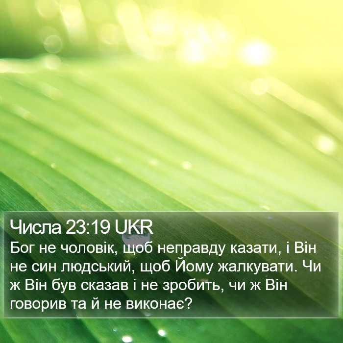 Числа 23:19 UKR Bible Study