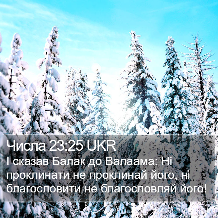 Числа 23:25 UKR Bible Study