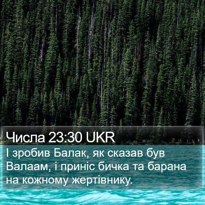 Числа 23:30 UKR Bible Study