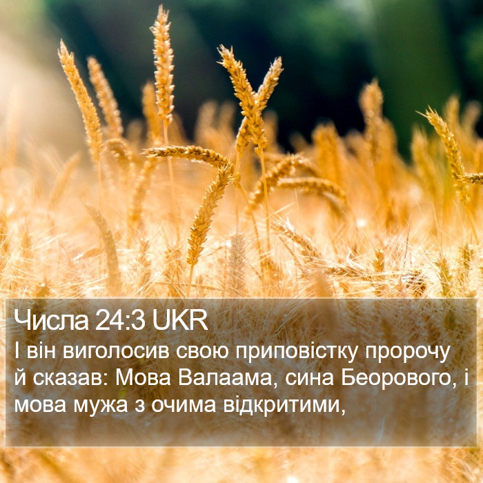 Числа 24:3 UKR Bible Study