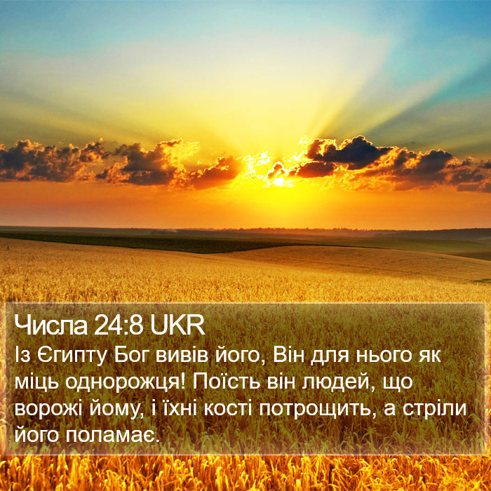 Числа 24:8 UKR Bible Study