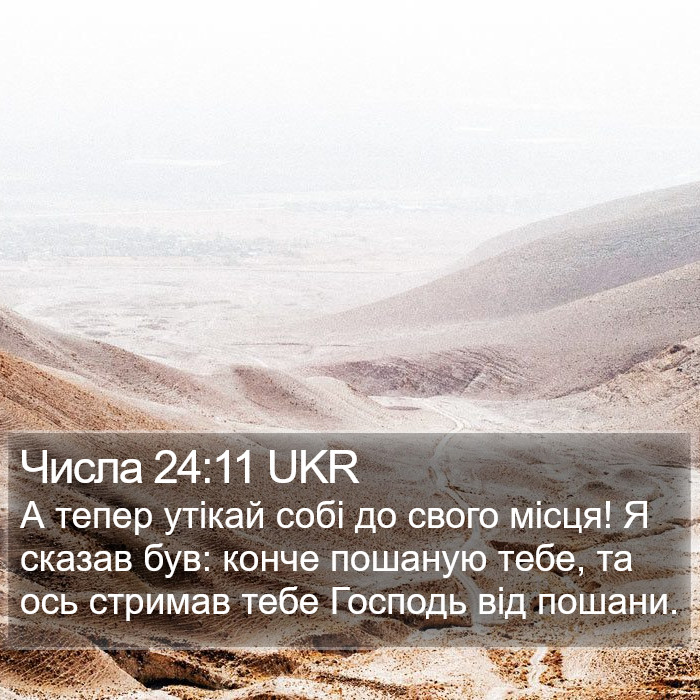 Числа 24:11 UKR Bible Study