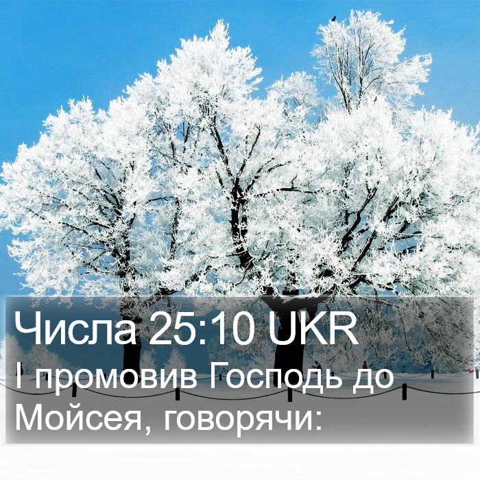 Числа 25:10 UKR Bible Study