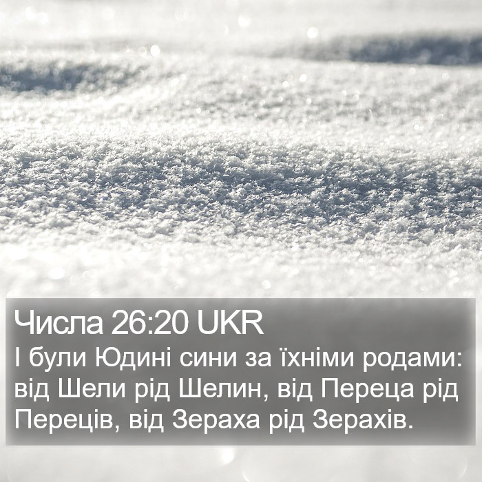 Числа 26:20 UKR Bible Study