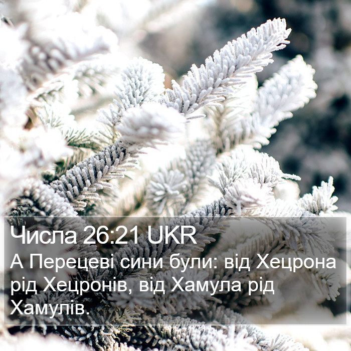 Числа 26:21 UKR Bible Study