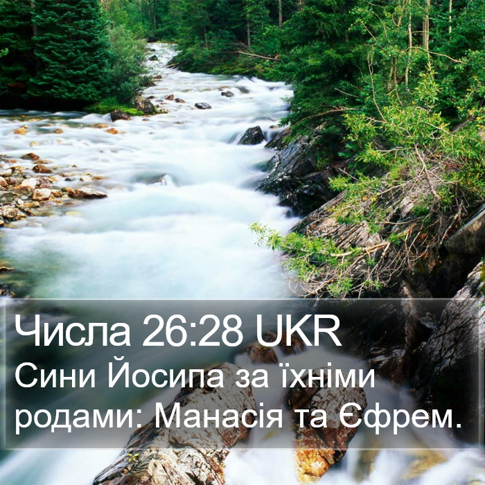 Числа 26:28 UKR Bible Study