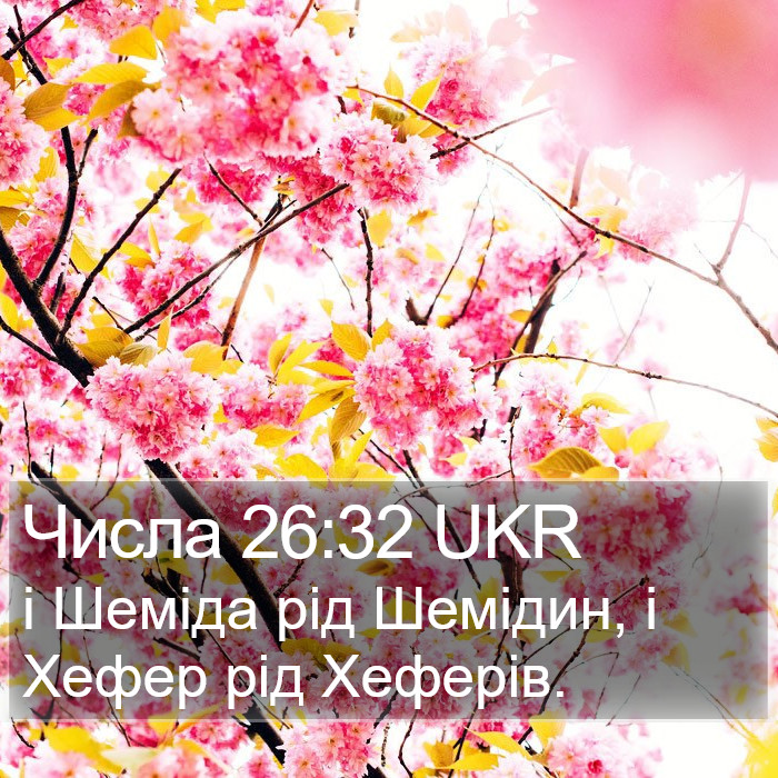 Числа 26:32 UKR Bible Study