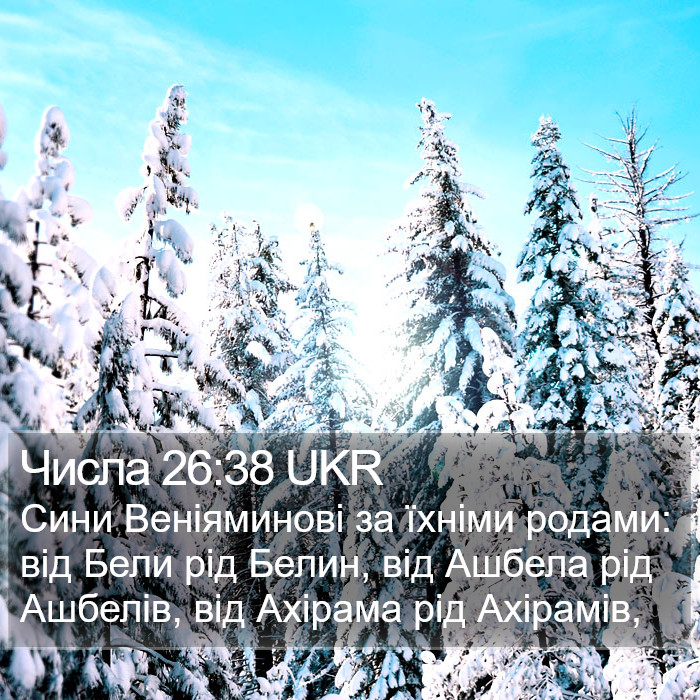 Числа 26:38 UKR Bible Study