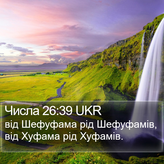 Числа 26:39 UKR Bible Study