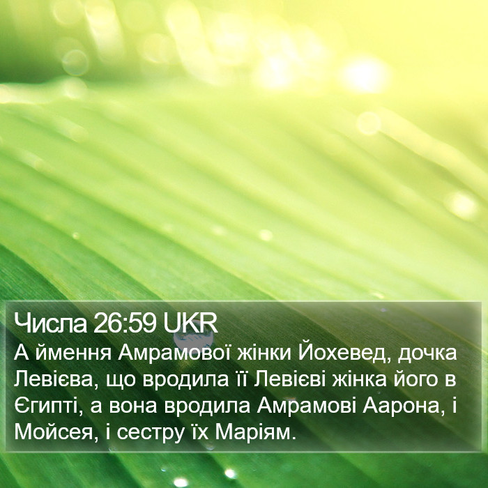 Числа 26:59 UKR Bible Study