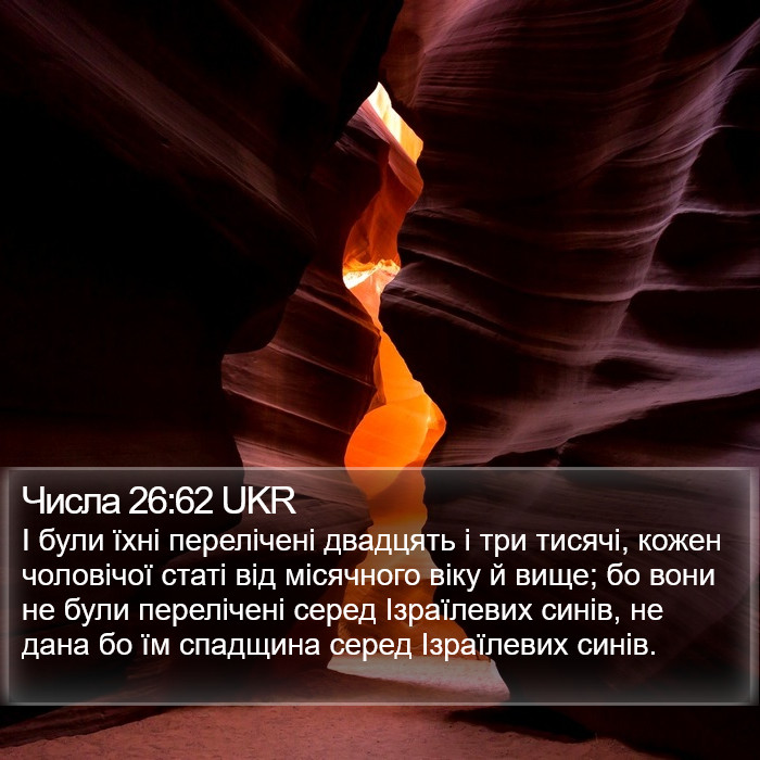 Числа 26:62 UKR Bible Study