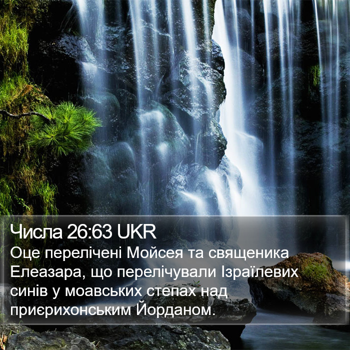Числа 26:63 UKR Bible Study