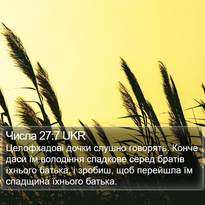 Числа 27:7 UKR Bible Study