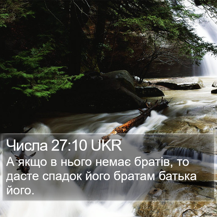 Числа 27:10 UKR Bible Study