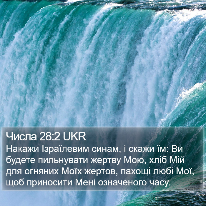 Числа 28:2 UKR Bible Study