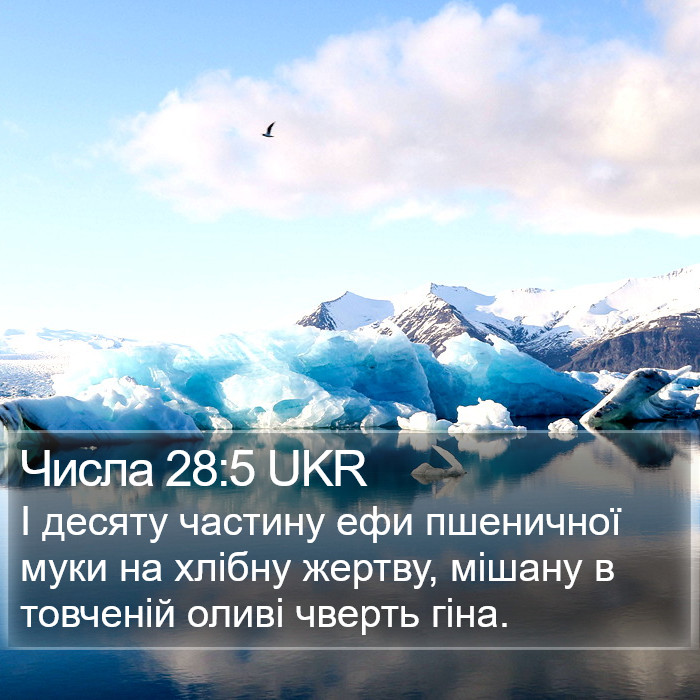 Числа 28:5 UKR Bible Study