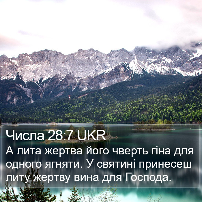 Числа 28:7 UKR Bible Study