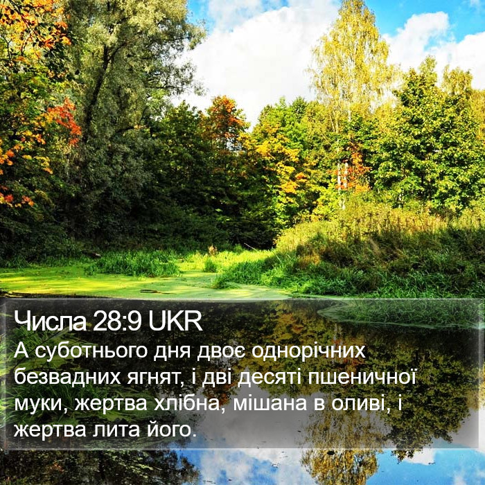 Числа 28:9 UKR Bible Study