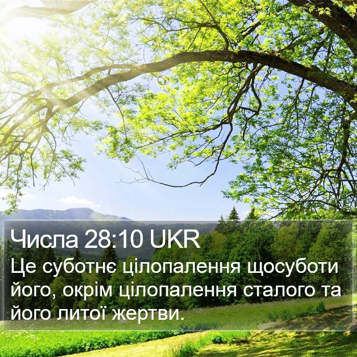 Числа 28:10 UKR Bible Study