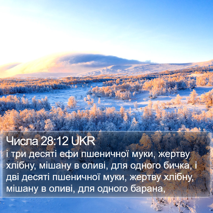 Числа 28:12 UKR Bible Study