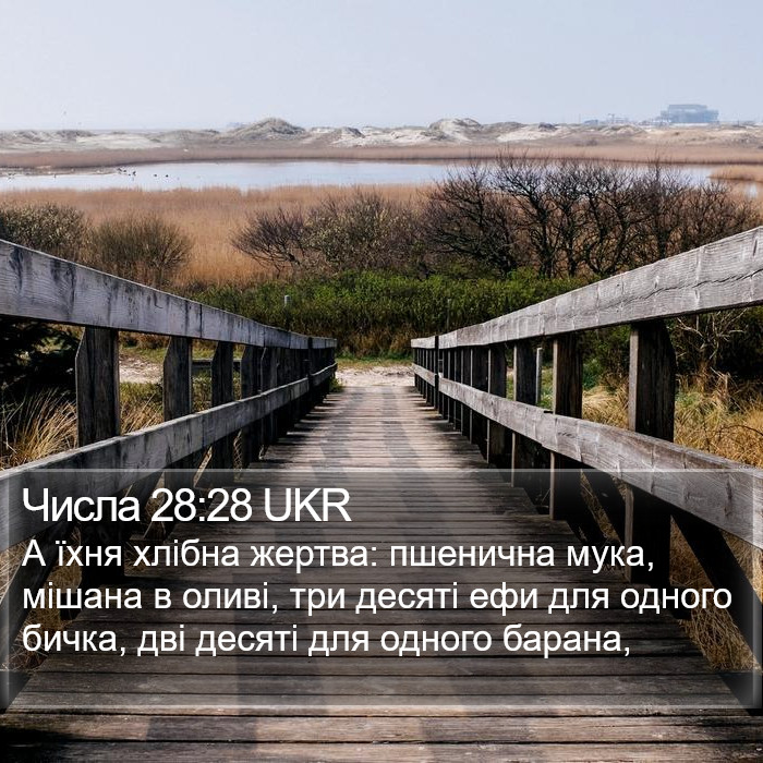 Числа 28:28 UKR Bible Study