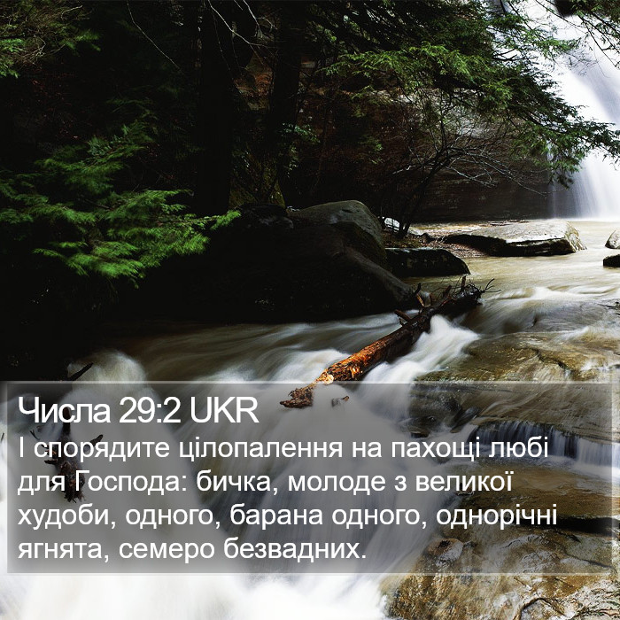 Числа 29:2 UKR Bible Study