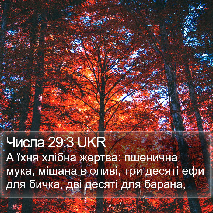Числа 29:3 UKR Bible Study