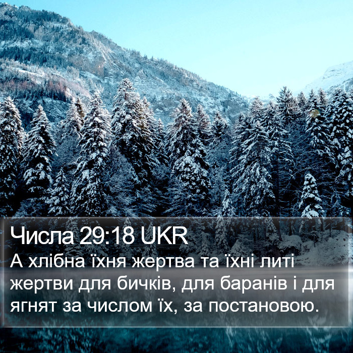 Числа 29:18 UKR Bible Study