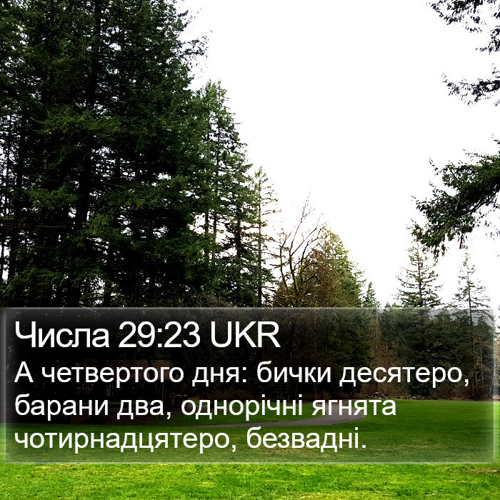 Числа 29:23 UKR Bible Study