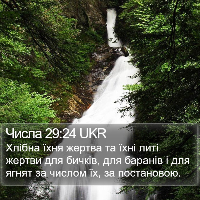 Числа 29:24 UKR Bible Study