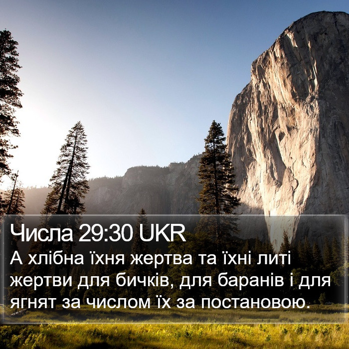 Числа 29:30 UKR Bible Study