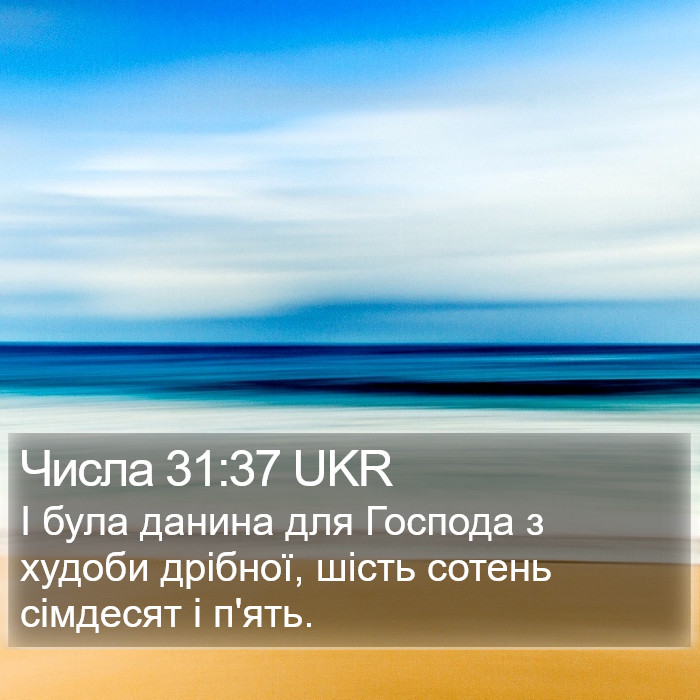 Числа 31:37 UKR Bible Study