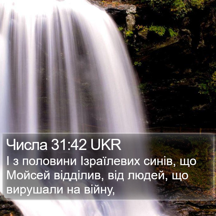 Числа 31:42 UKR Bible Study