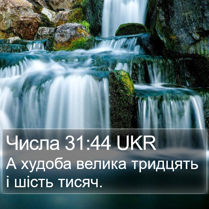 Числа 31:44 UKR Bible Study