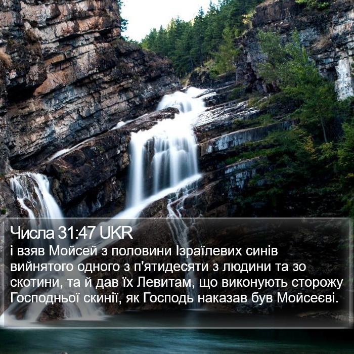 Числа 31:47 UKR Bible Study