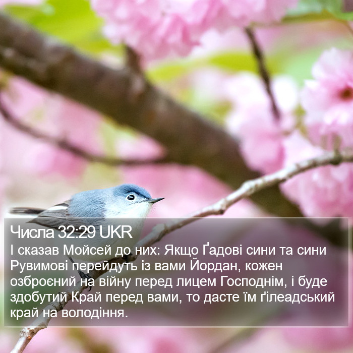 Числа 32:29 UKR Bible Study