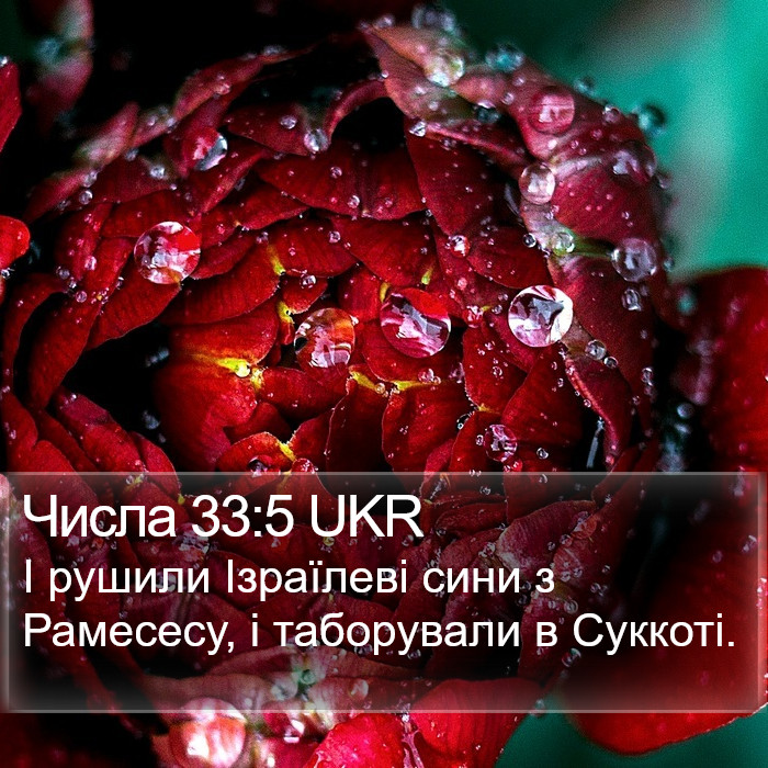 Числа 33:5 UKR Bible Study