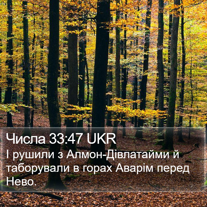 Числа 33:47 UKR Bible Study