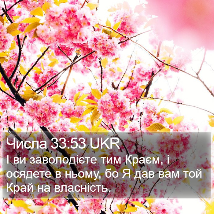 Числа 33:53 UKR Bible Study