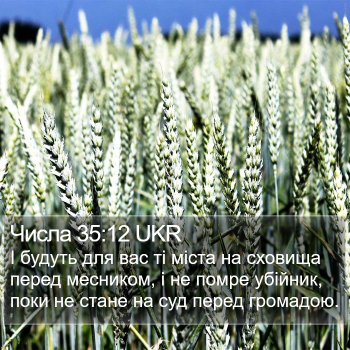 Числа 35:12 UKR Bible Study