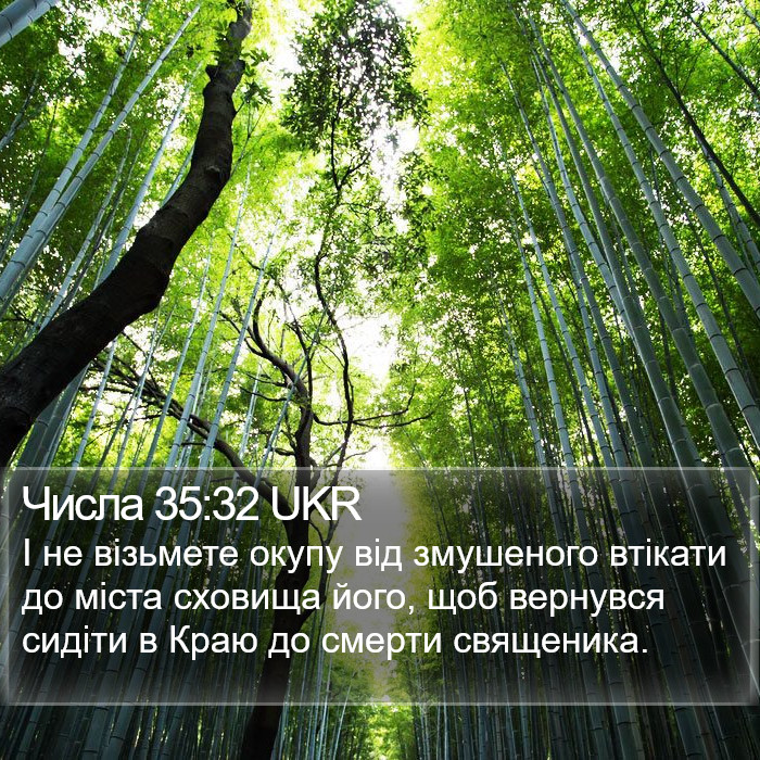 Числа 35:32 UKR Bible Study