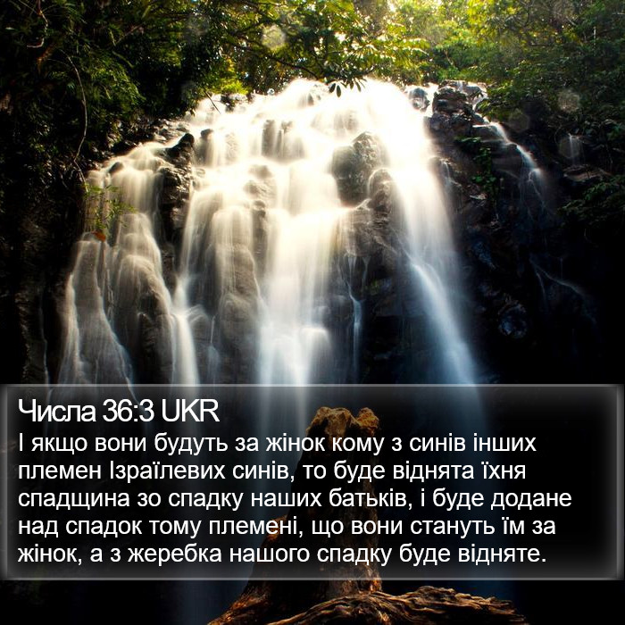 Числа 36:3 UKR Bible Study