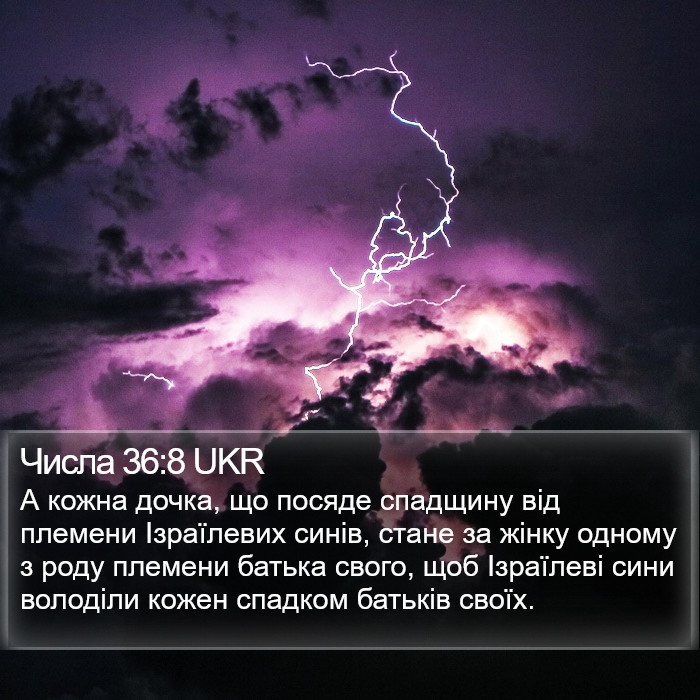 Числа 36:8 UKR Bible Study