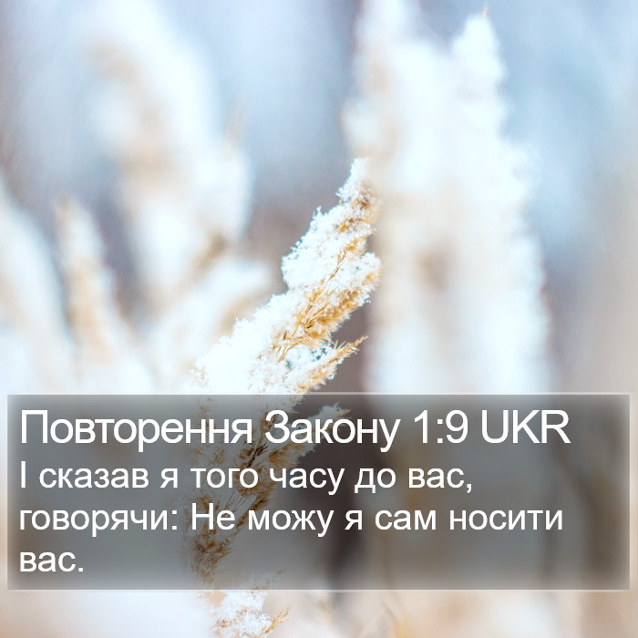 Повторення Закону 1:9 UKR Bible Study