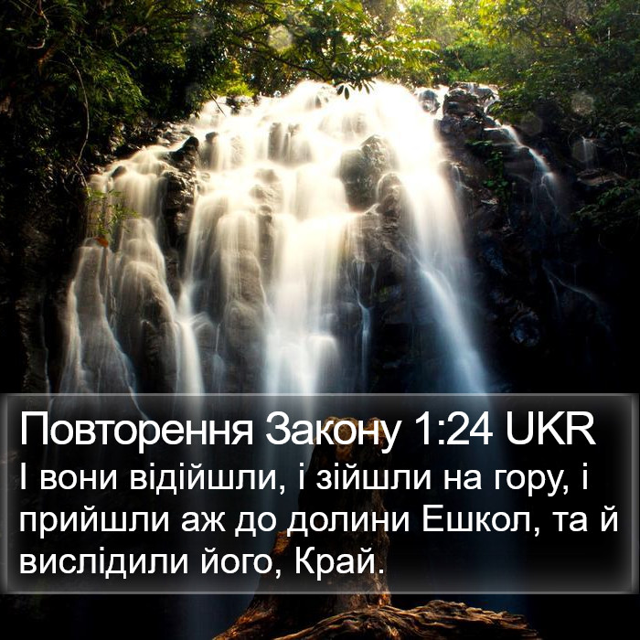 Повторення Закону 1:24 UKR Bible Study