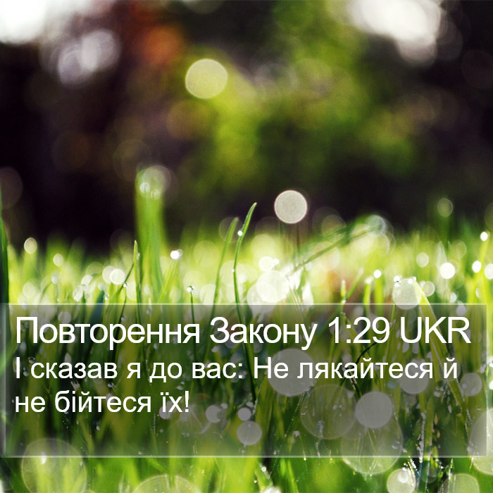 Повторення Закону 1:29 UKR Bible Study