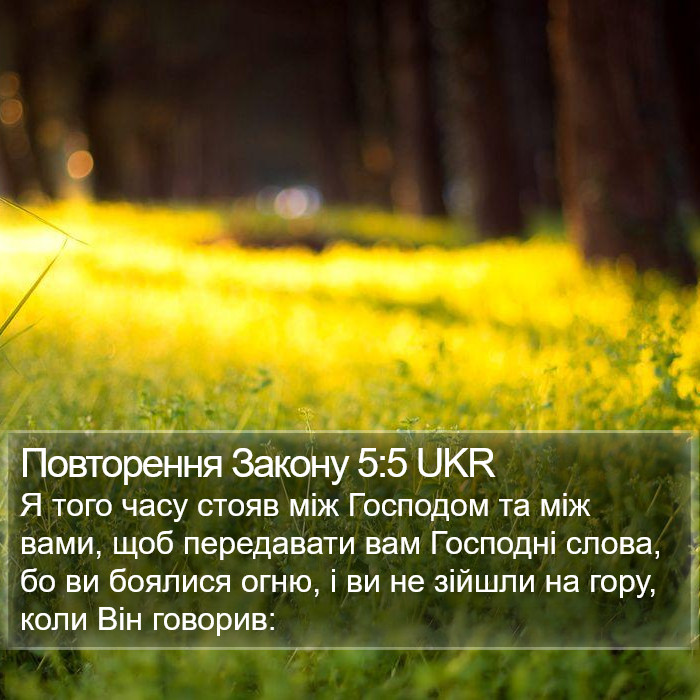 Повторення Закону 5:5 UKR Bible Study
