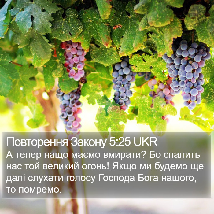 Повторення Закону 5:25 UKR Bible Study