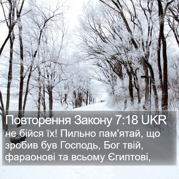 Повторення Закону 7:18 UKR Bible Study