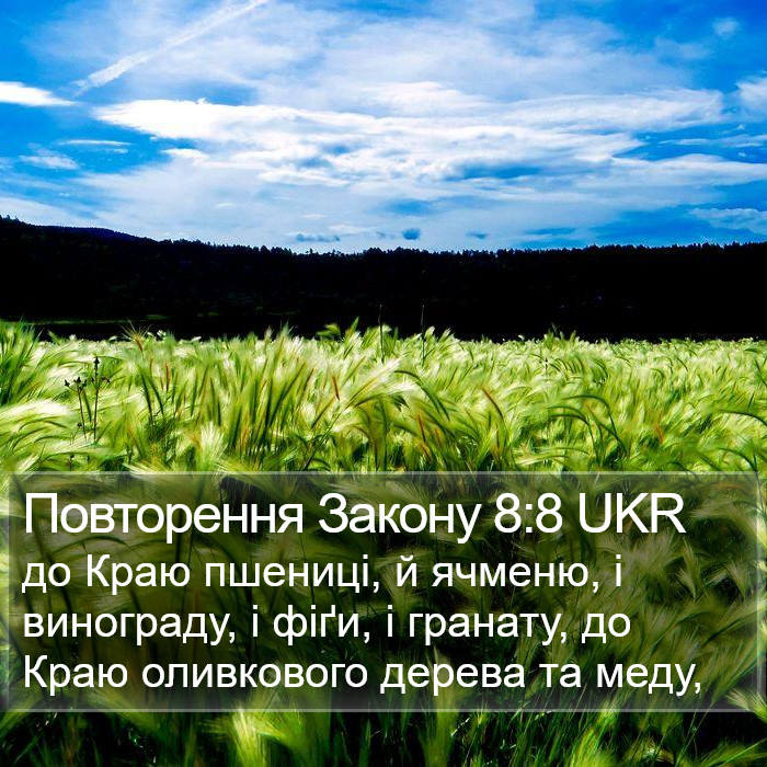 Повторення Закону 8:8 UKR Bible Study